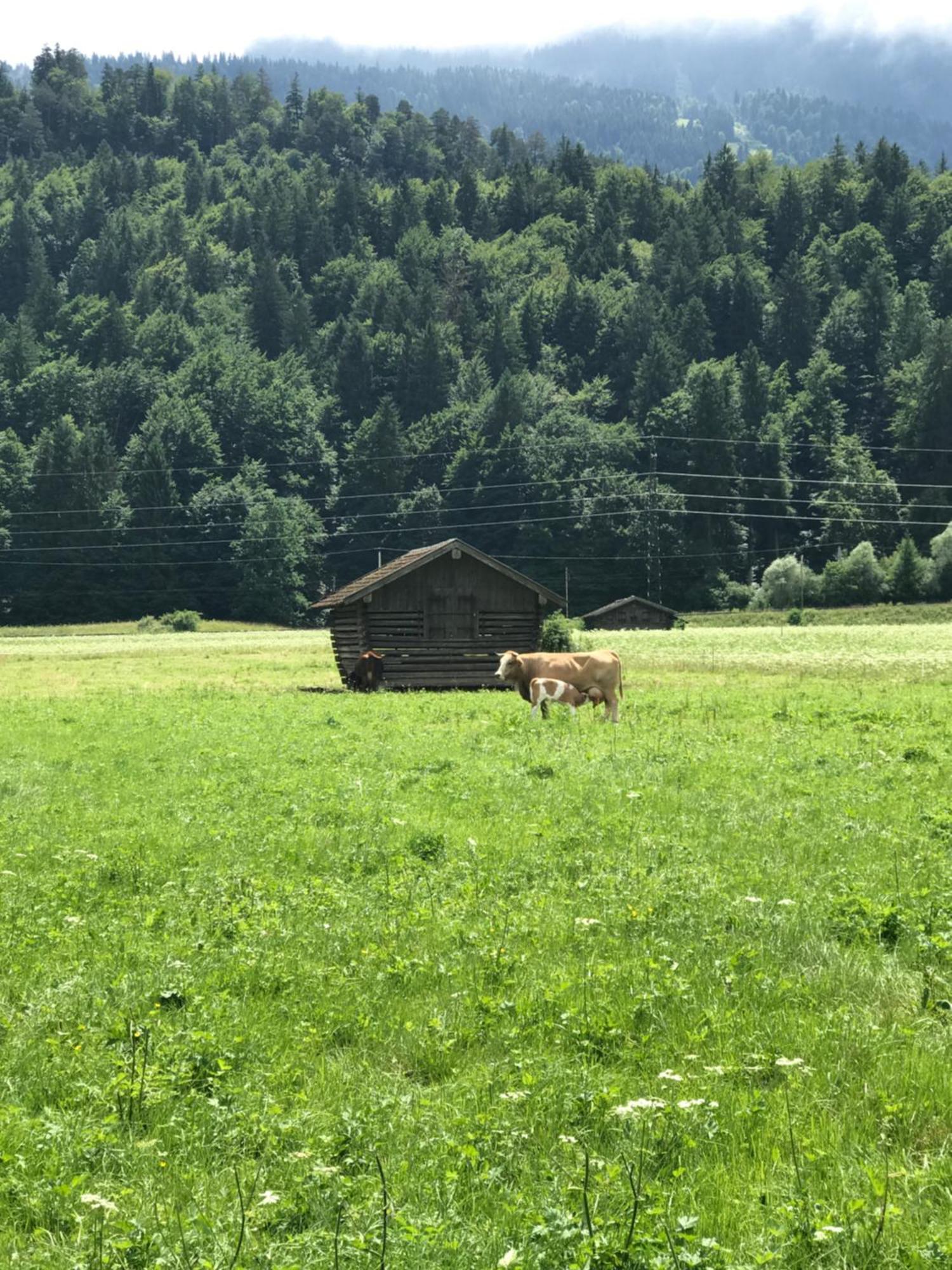 Apartment Garmisch Zugspitze Грайнау Екстериор снимка